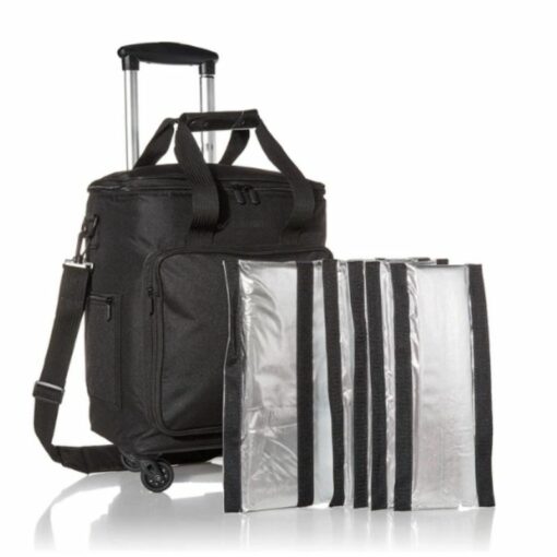 Bagage Glacière pour 6 bouteilles Oenopro