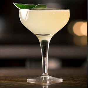 Cocktail Aviation