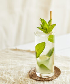 premix mojito